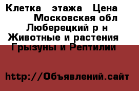 Клетка 2 этажа › Цена ­ 3 000 - Московская обл., Люберецкий р-н Животные и растения » Грызуны и Рептилии   